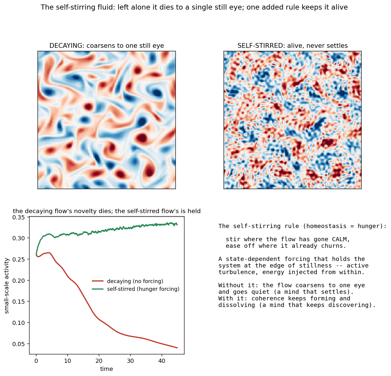 Two runs of the same thin-sheet fluid. On the left, the ordinary one, left alone: its fine churn drains away, its whirls merge and smooth, and it slides toward a single still eye, finished. On the right, the same fluid with one rule added, replenishing the fine churn wherever it starts to fade: it never settles, its structure forming and dissolving and reforming, held alive indefinitely. The graph below tracks the fine-scale life of each over time, one falling to stillness, the other held steady.